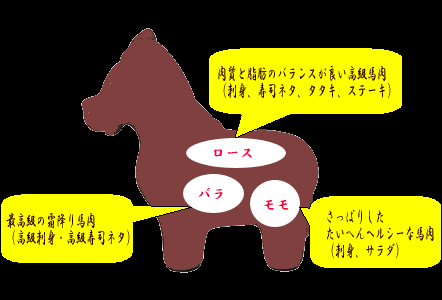 �n�h���̕��ʏЉ�